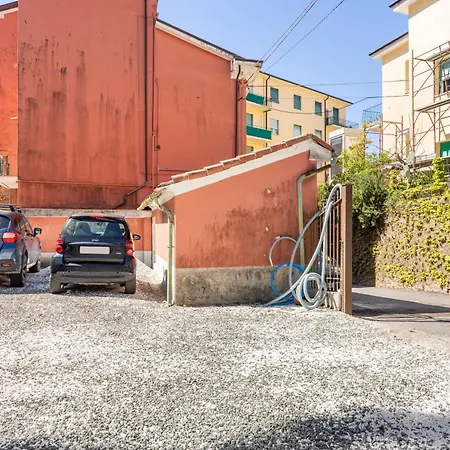 Lerse Zen Lerici